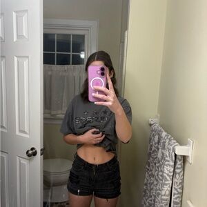 American Eagle Outfitters Gray Crop Top